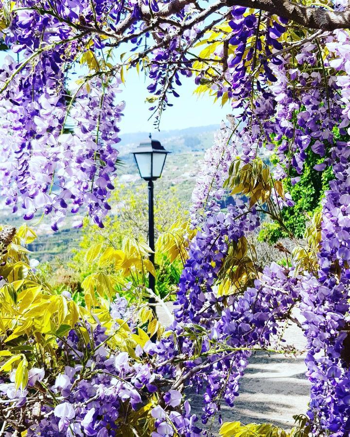 Quinta Do Cabouco Otel Ribeira Brava Dış mekan fotoğraf