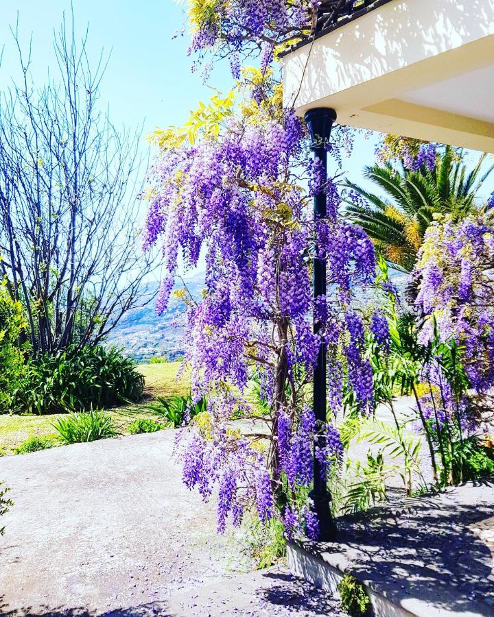Quinta Do Cabouco Otel Ribeira Brava Dış mekan fotoğraf
