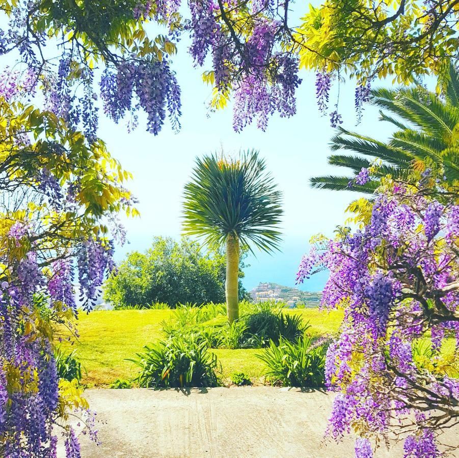 Quinta Do Cabouco Otel Ribeira Brava Dış mekan fotoğraf
