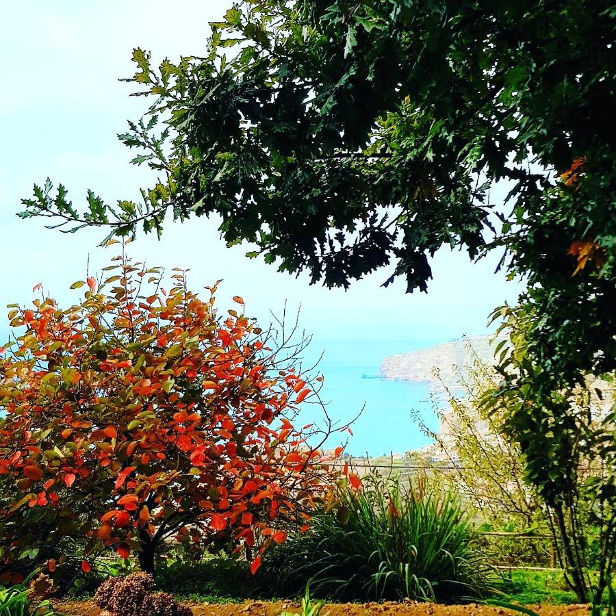 Quinta Do Cabouco Otel Ribeira Brava Dış mekan fotoğraf