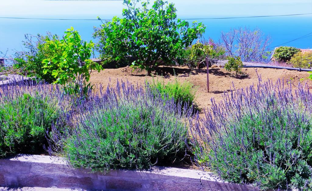 Quinta Do Cabouco Otel Ribeira Brava Dış mekan fotoğraf